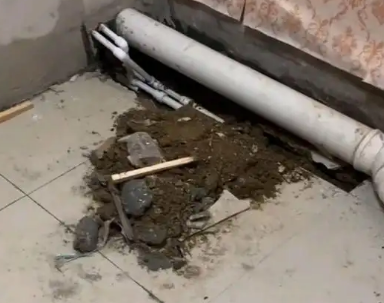 高明卫生间漏水检测哪家好